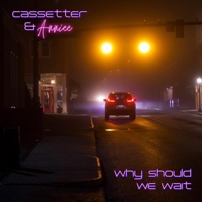 Why Should We Wait - Single