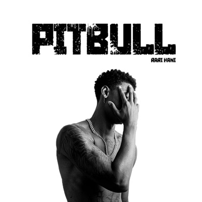 Pitbull - Single