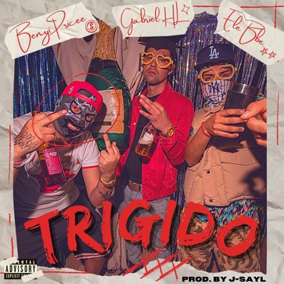 TRIGIDO (feat. Gabriel HL & Elebbe) - Single
