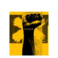 STRIPES (feat. The Hoodies) - Single - BEEN BALLIN