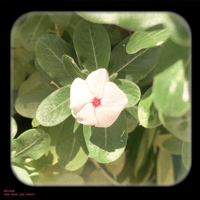 How Have You Been? - Single