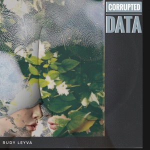 Corrupted Data