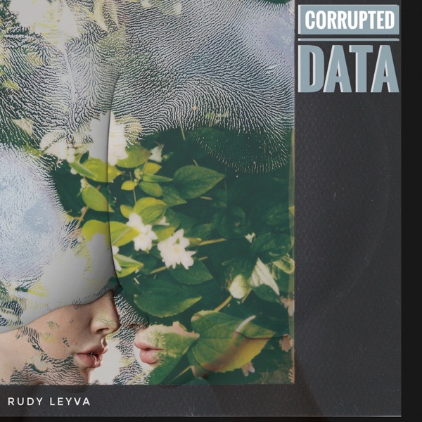 Corrupted Data
