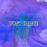 Won't Change - Single - K.I.R.B.