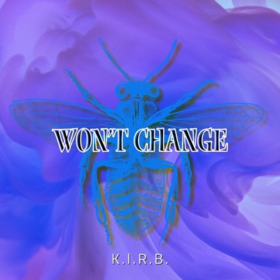 Won't Change - Single