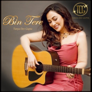 Bin Tere