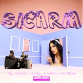 Sicaria artwork