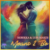 Meant 2 Be artwork