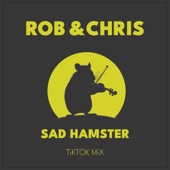 Sad Hamster (TikTok Mix) artwork