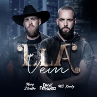 Ela Vem (feat. Mary Silvestre & Mc Xandy) - Single - Davi e Fernando