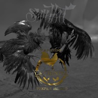 Partido la Chinita - Single - SANTTAL