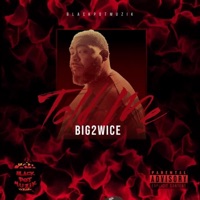 Told Me - Single - Big2wice