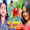 Ara Jila Ke Mal Ha - Single