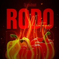 RODO VIBE (DJ Mix) - DJ Soulbeat