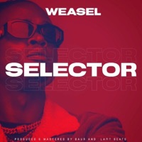 Selector - Single - Radio & Weasel