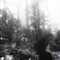 Out Ya Mouth (feat. siion, Yung Flex & kadea) - CHASE NOIR lyrics