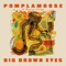 Big Brown Eyes (feat. Benny Sings) - Pomplamoose lyrics