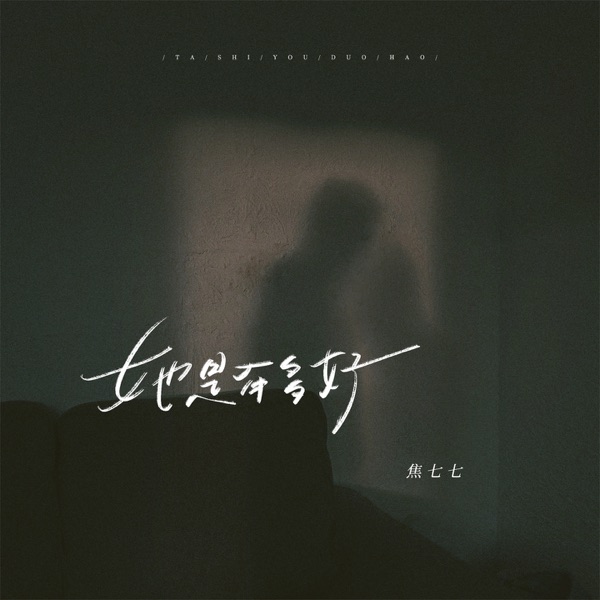 她是有多好 - Single