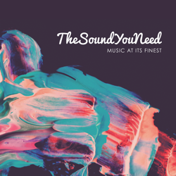 TheSoundYouNeed, Vol. 1 - Various Artists Cover Art