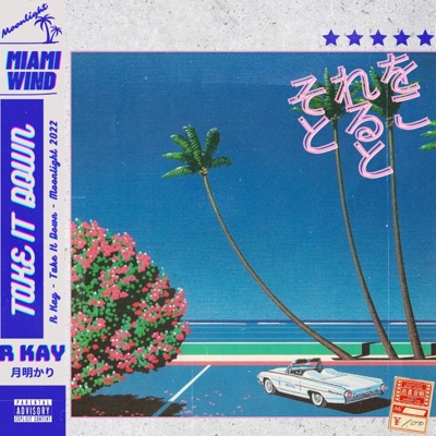 Take It Down - Single