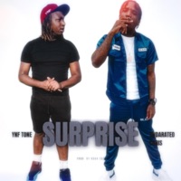 Surprise (feat. Undarated Lor Chris) - Single - YNF Tone