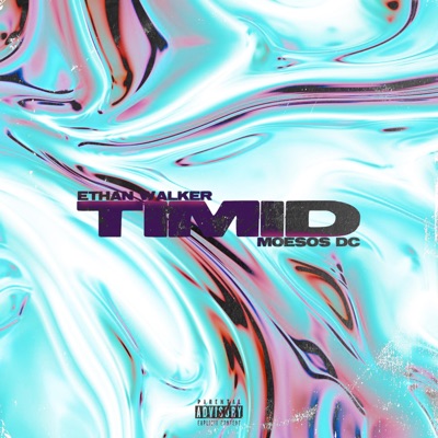 Timid - Single