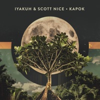 Kapok - Single - Iyakuh & Scott Nice