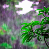 Rainstorm Sounds for Relaxing, Focus and Deep Sleep - Rain for Deep Sleep, Focusity & Deep Focus