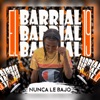 Nunca Le Bajo - Single