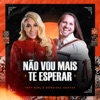 Não Vou Mais Te Esperar - Single