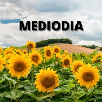 Mediodia - EP - Alejandro Betancourt