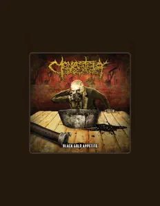 聆聽 Monastery Dead、觀看音樂影片、閱讀小傳、查看巡演日期等！