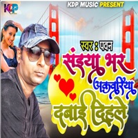 Saiya Bhar Akwariya Daba Dihale - Single - Pawan