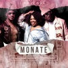 Monate (feat. Slovaz & 3 Percent) - Single