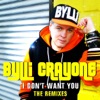 I Don't Want You: The Remixes