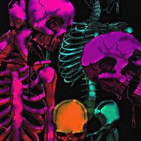 NOTIONS (feat. 3RDiE) - Single - DVRKSIDE