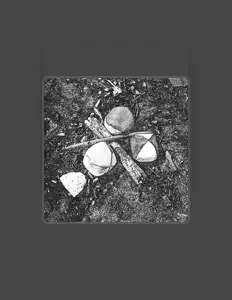 Shoval Niv: песни, клипы, биография, даты выступлений и многое другое.