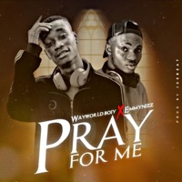 Pray for Me (feat. Emmynizz) - Single - Wayworld boiy