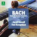 Viola da Gamba Sonata in G minor, BWV 1029