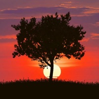 Weird Sunset - Single - Carlos Báez