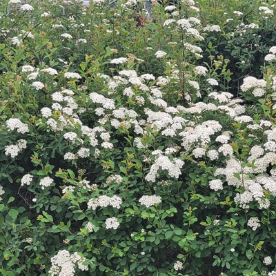 years of love have been forgot, In the hatred of a minute. - Single