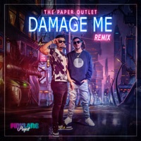 Damage Me (Remix) - Single - PinkLane Project & The Paper Outlet