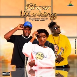 Show Working (feat. Amanor & King Jerry) Skare D3m