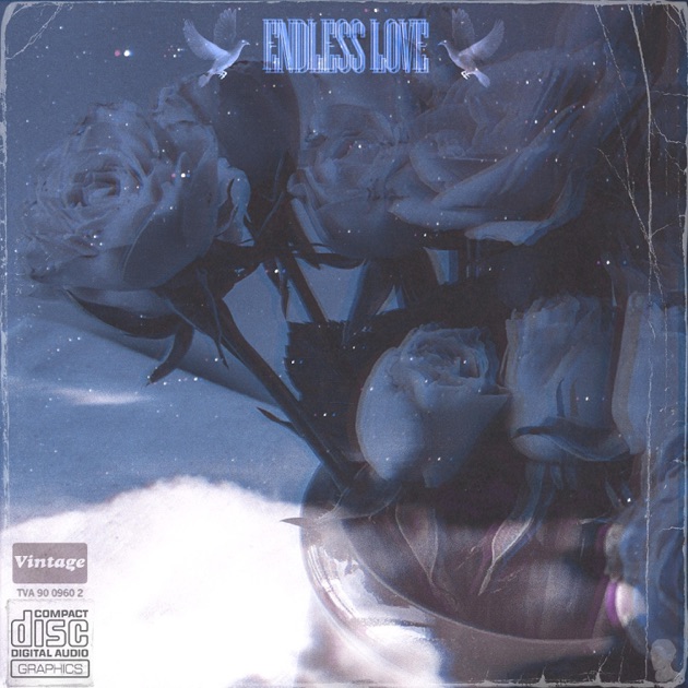 Endless Love – Vinyl (Gatefold, LP, Compilation, Stereo
