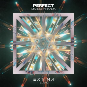 Perfect - Single