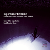In purpurner Finsternis - Tobias Müller-Kopp & David Cavelius