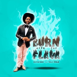 Burn With the Flava (feat. Trilly Polk) BeatsByNIX