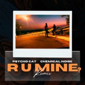 R U Mine? (Remix) artwork
