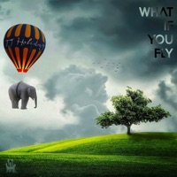 What If You Fly - Single - TJ Holiday
