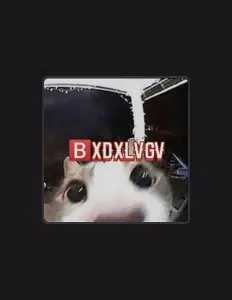 B3DXLVGVを聴いたり、ミュージックビデオを鑑賞したり、経歴やツアー日程などを確認したりしましょう！